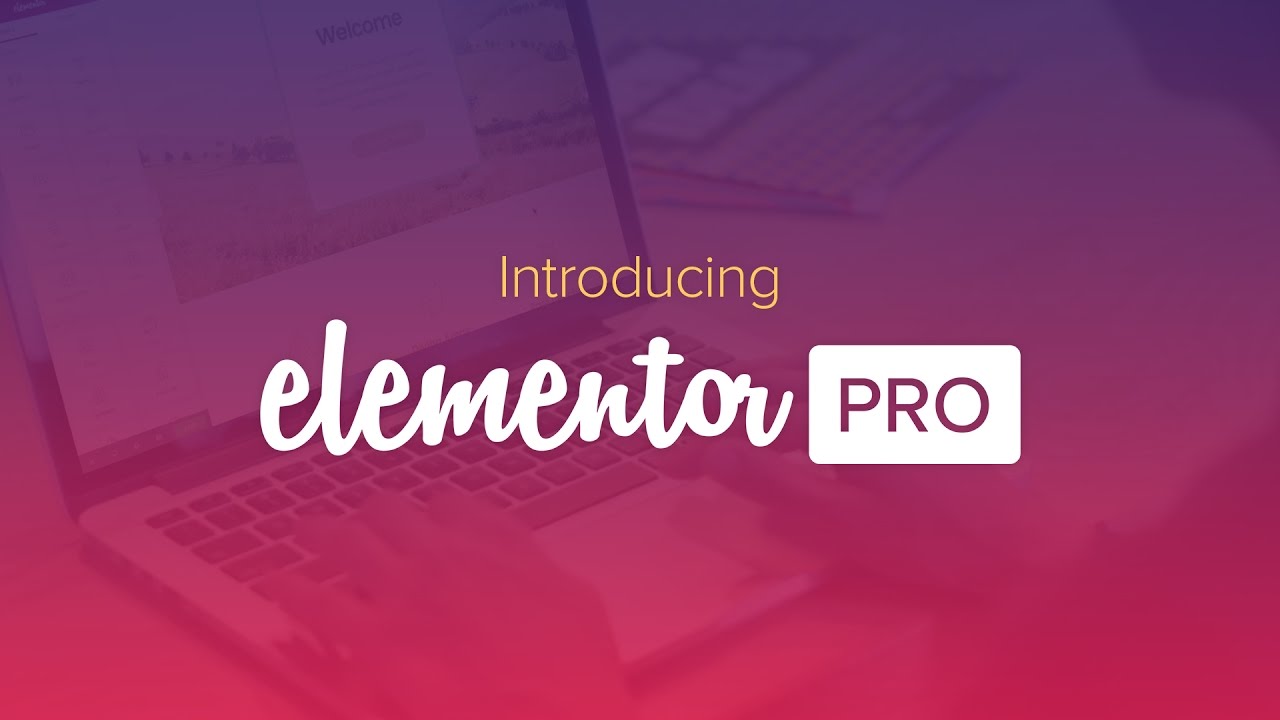 Elementor Pro 2024
